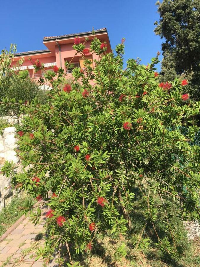 Villa Matovica Kampor Eksteriør bilde